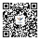 星空XK Vision Plus Capital